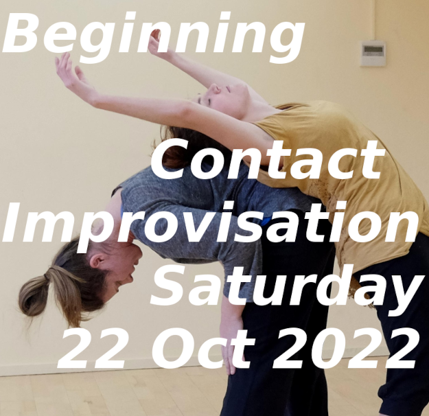 Enjoy dance with us and learn to dance contact improvisation
