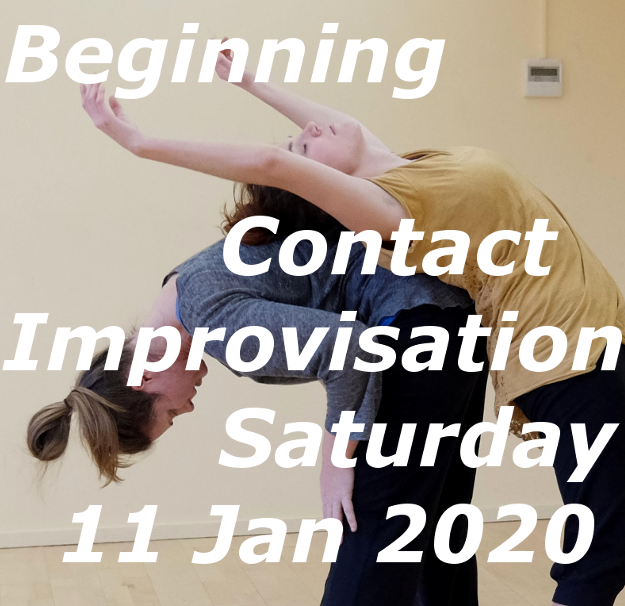 Enjoy dance with us and learn to dance contact improvisation